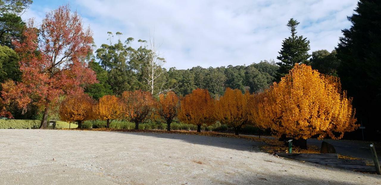 Panorama Retreat & Resort Kalorama Εξωτερικό φωτογραφία